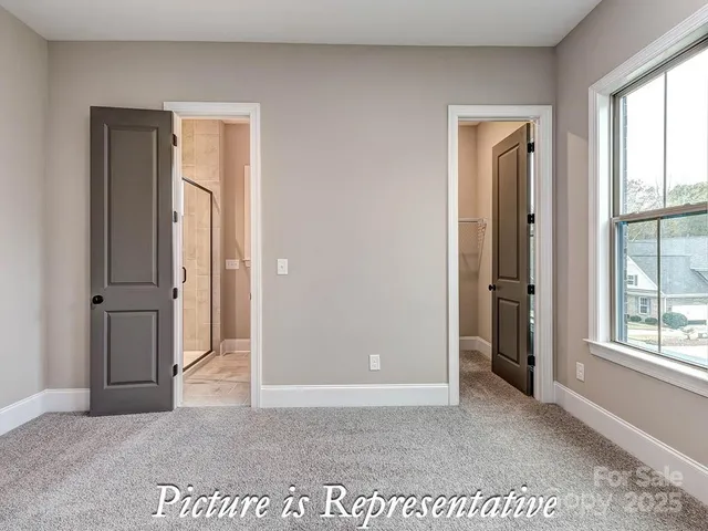 a view of a forest filled with trees