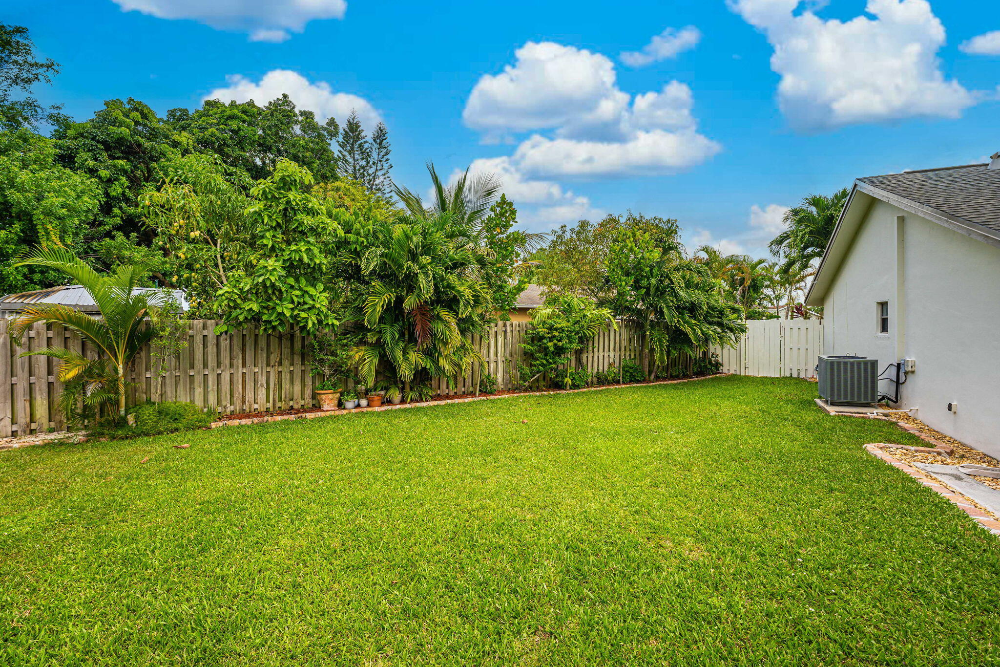 9674 Colorado Court Boca Raton, FL 33434 - Photo 56 of 61 JACKFRUIT TREE