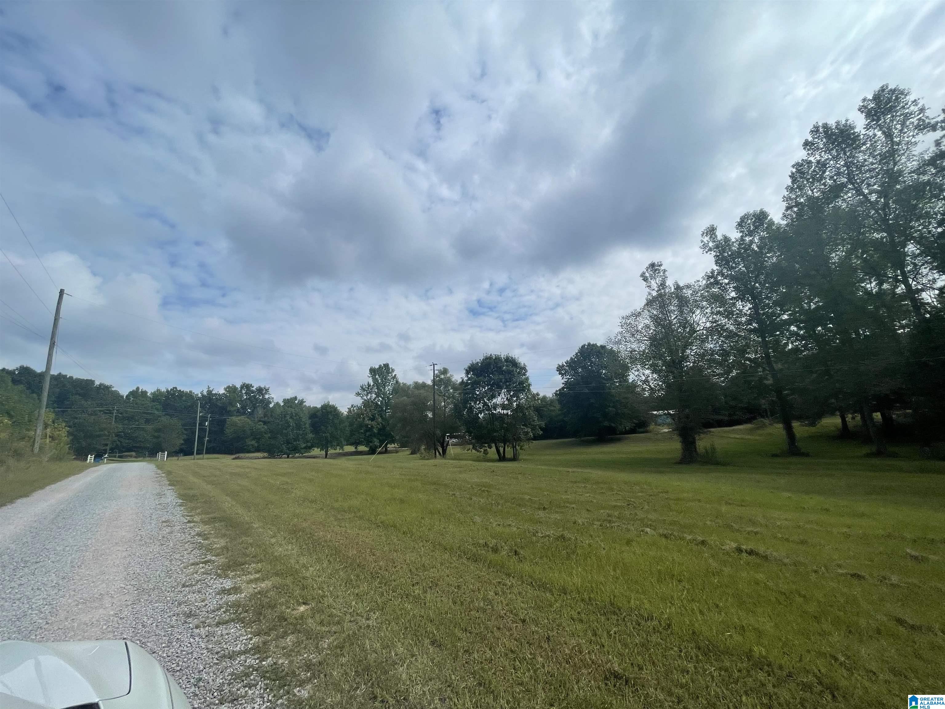 2941 County Line Drive, Unit 1 Trafford, AL 35172 - Photo 13 of 15