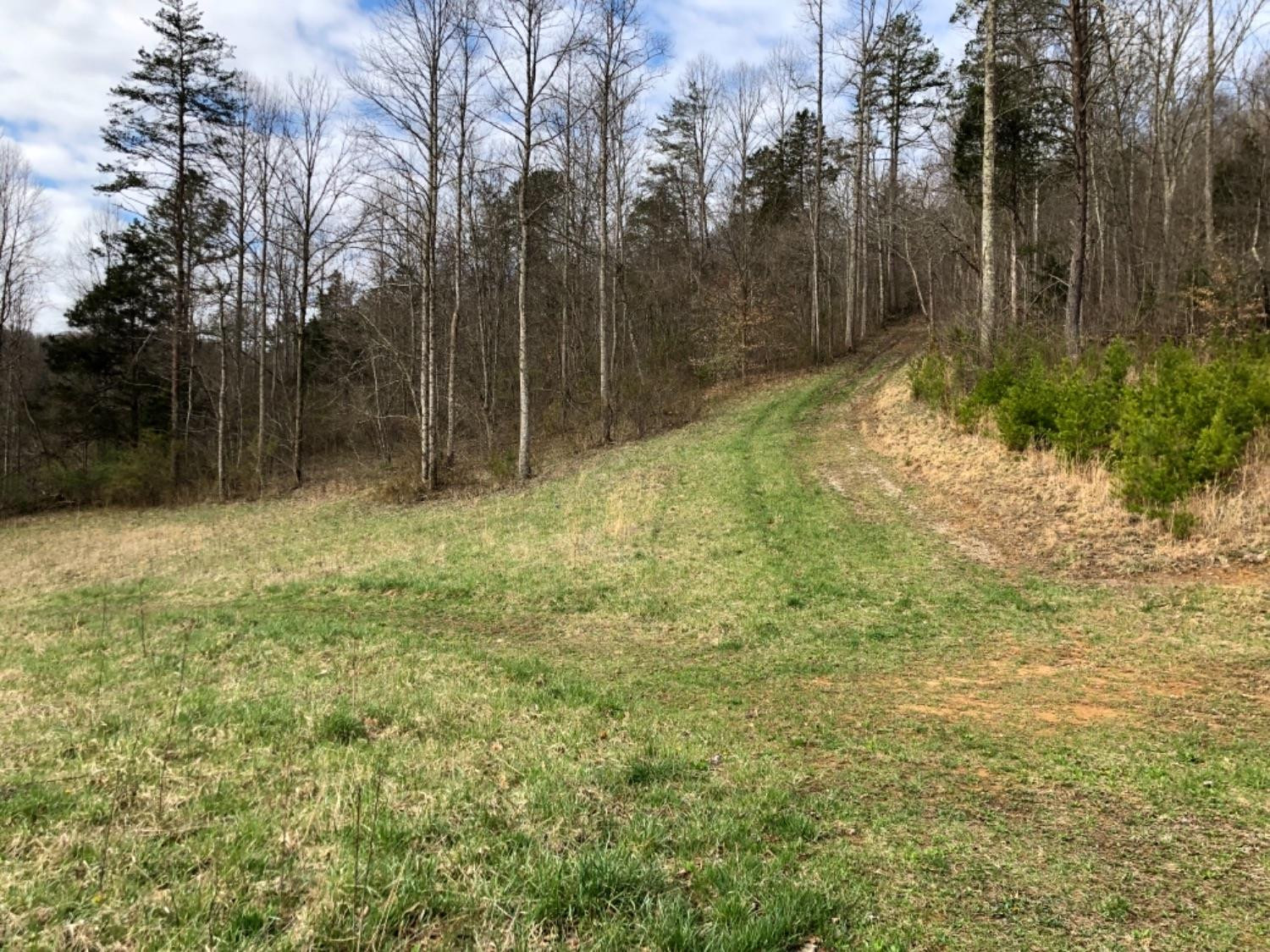 186 Viney Bottom Road McKee, KY 40447 - Photo 45 of 47 Listing Photo
