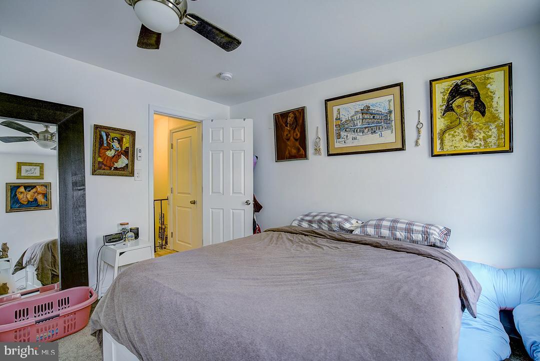 338 Tree Street Philadelphia, PA 19148 - Photo 13 of 20 Gallery Image 13