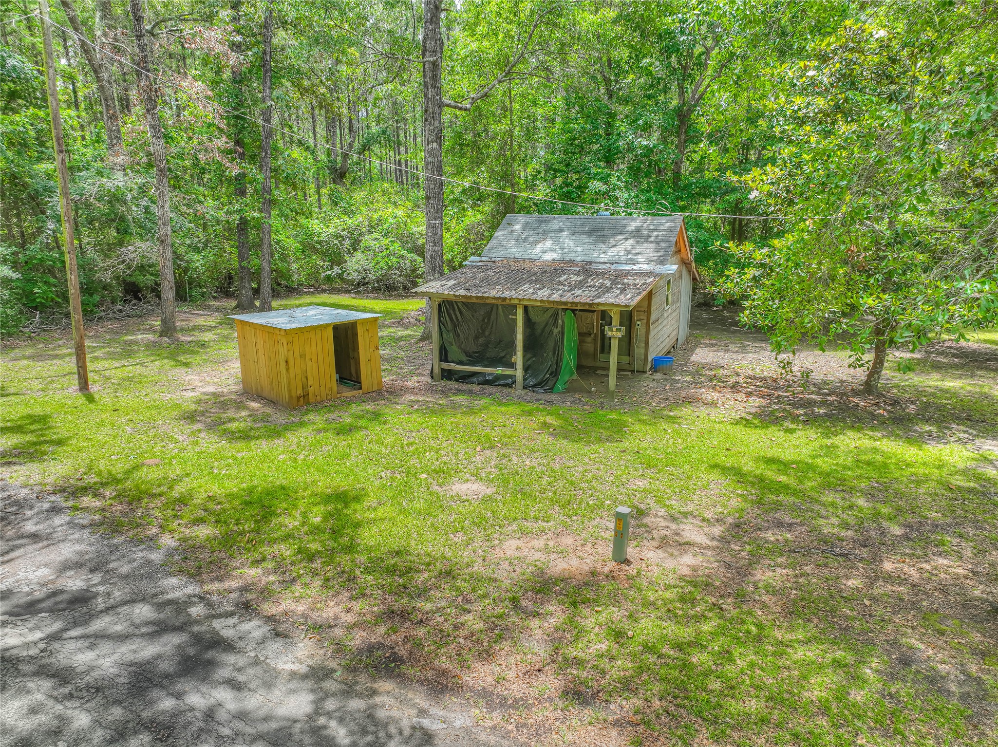 657 Parrish Road Livingston, TX 77351 - Photo 6 of 47 a view of a backyard with a small cabin