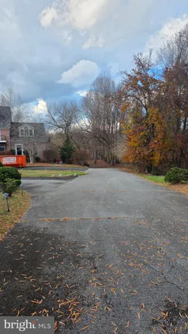 a view of road with large trees