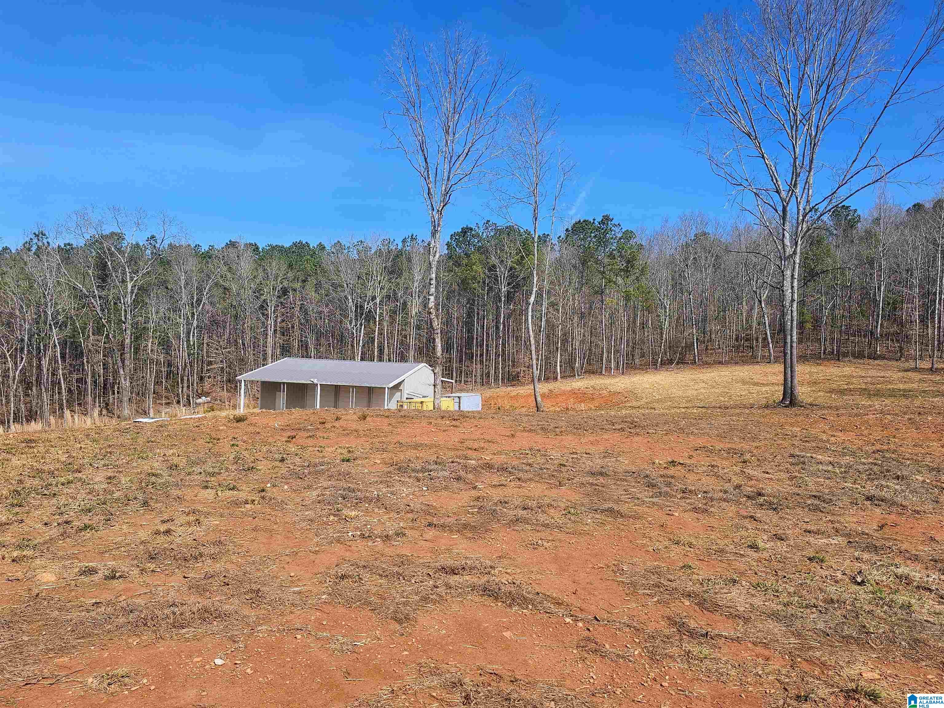 8235 County Road 10 Ranburne, AL 36273 - Photo 10 of 16
