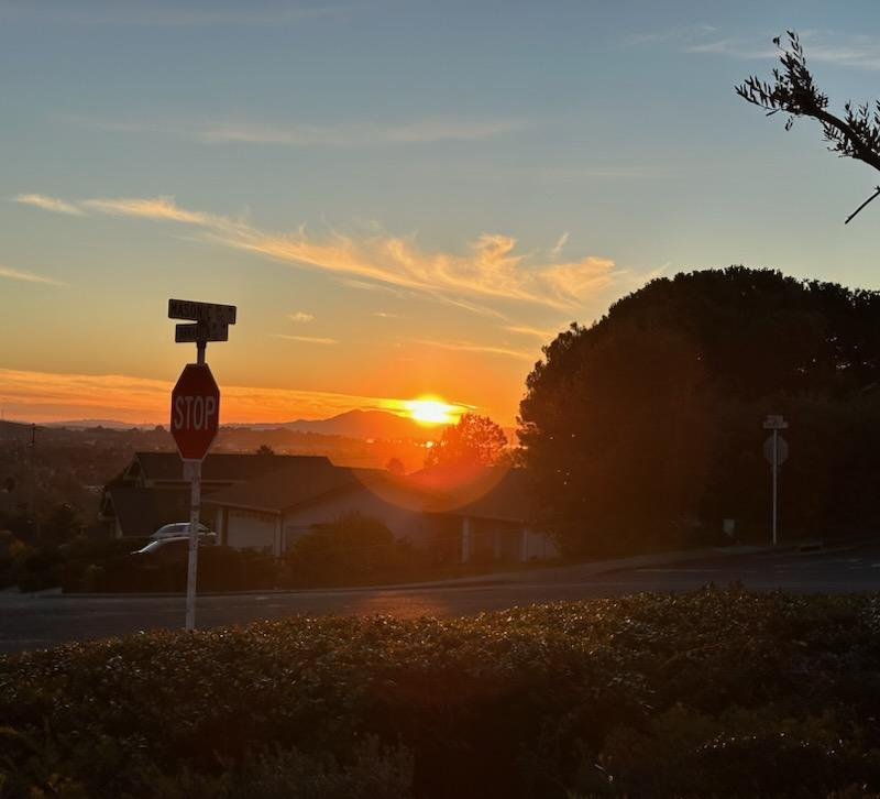188 Masonic Drive Vallejo, CA 94591 - Photo 28 of 28 a lamp is sitting in the middle of a yard