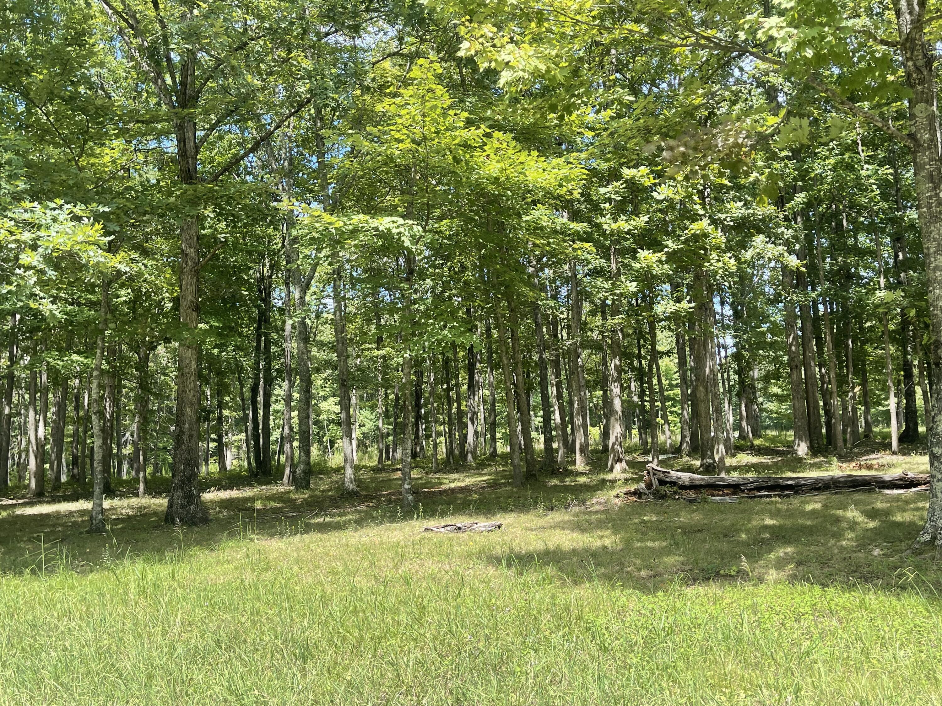 1825 Fernhill Road Pikeville, TN 37367 - Photo 4 of 7 899F83DD-6136-43AD-BFF3-C3FBF3492FCF