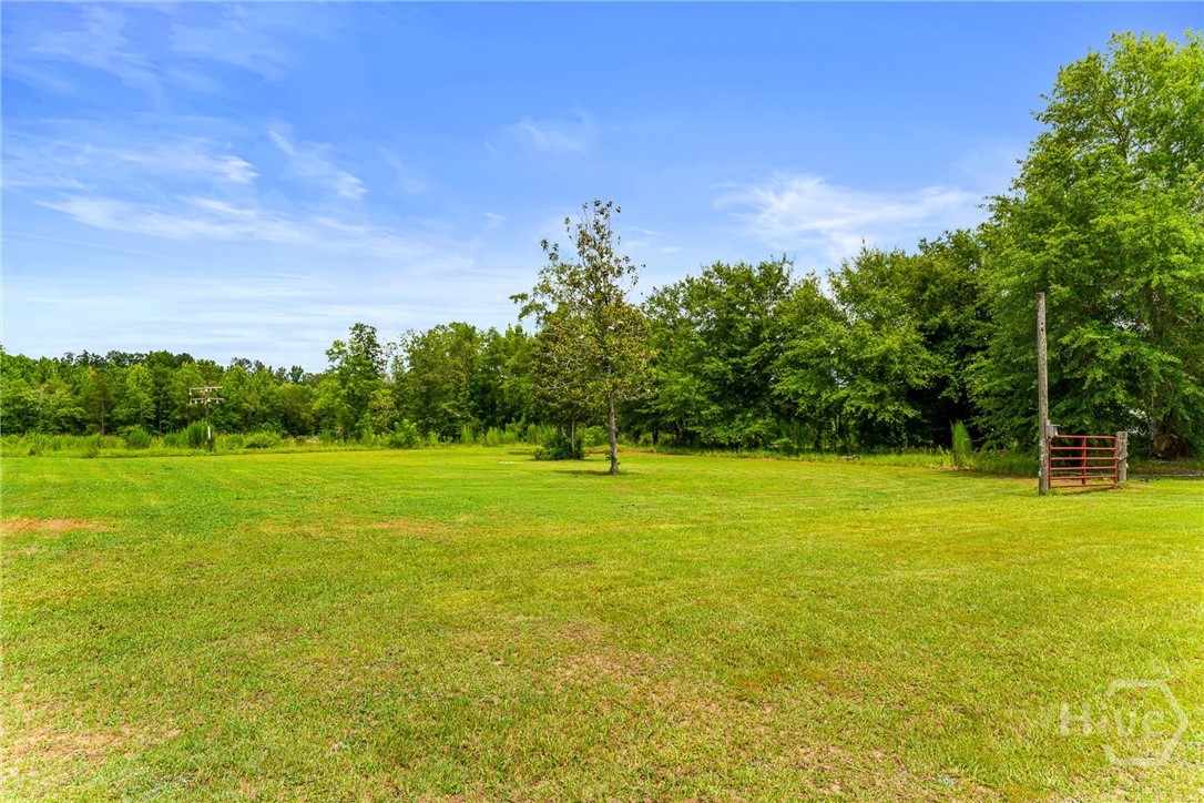 762 Old McLeod Bridge Road Adrian, GA 31002 - Photo 70 of 71 Gallery Image 70