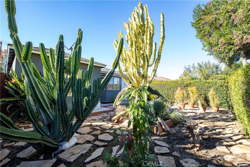 6417 White Oak Avenue Reseda, CA 91335 - Photo 46 of 50 a view of a plant