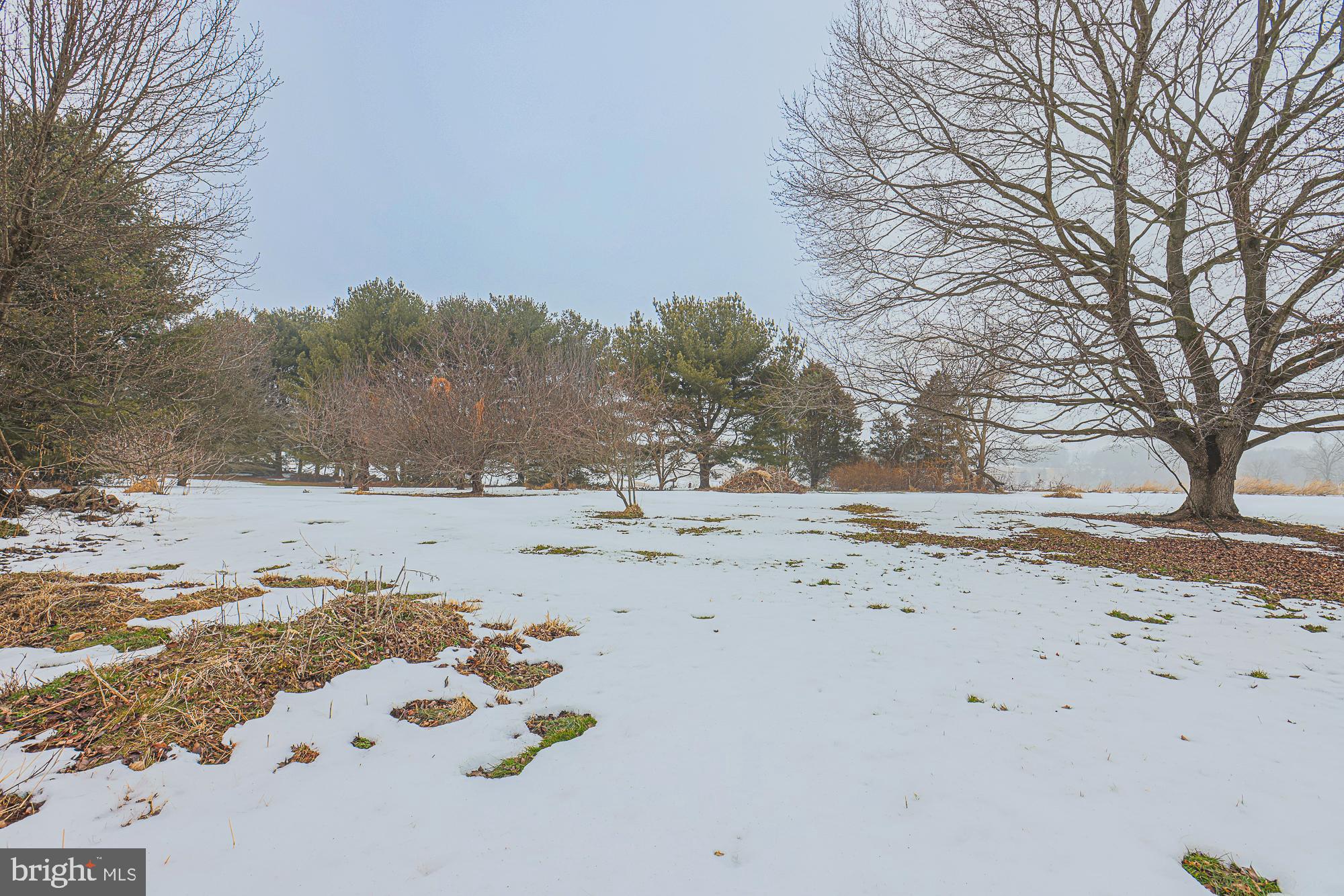 31 Blake Road Elkton, MD 21921 - Photo 46 of 54 Serene winter landscape view of backyard.