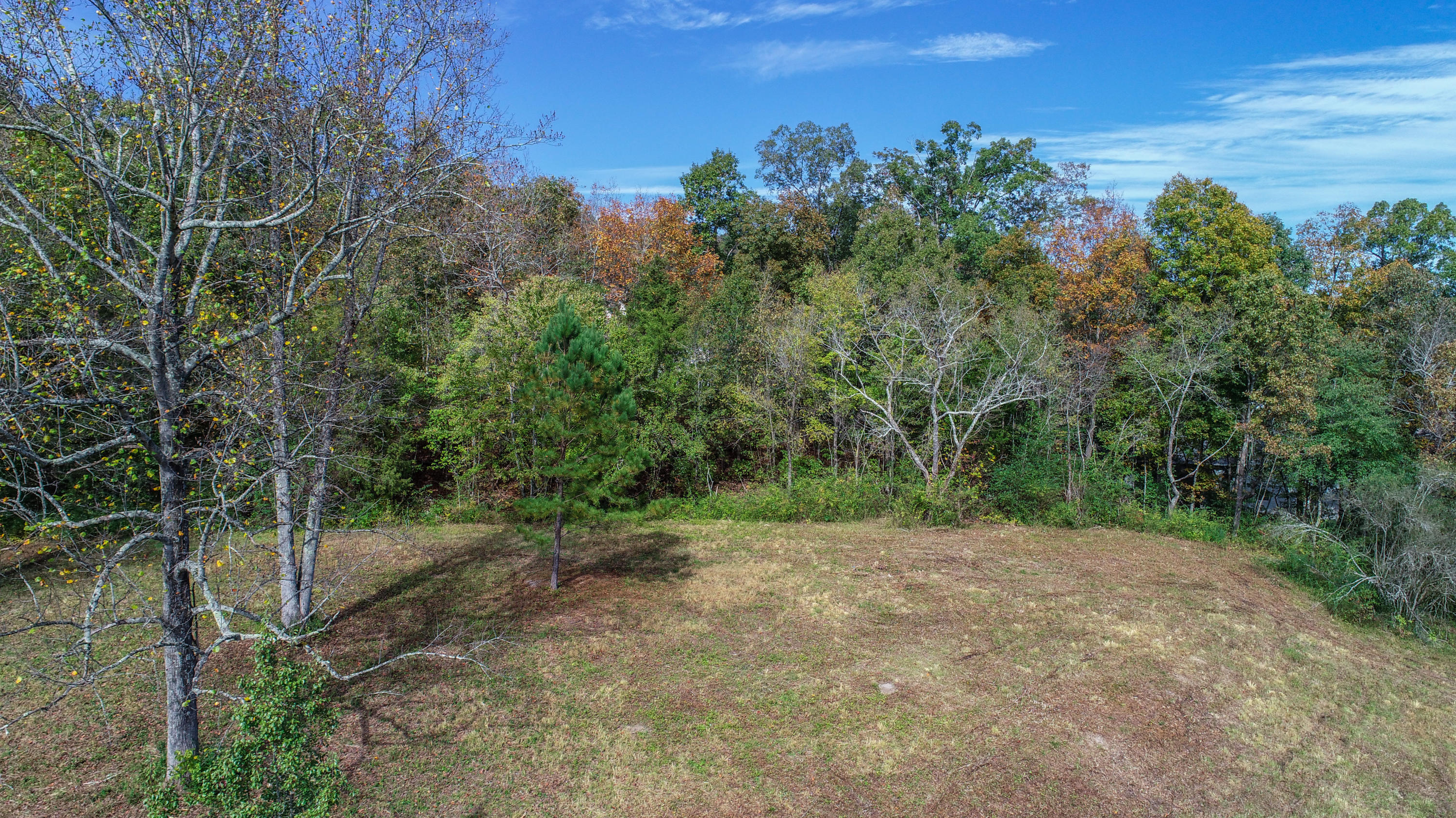 180 Alexander Road Ringgold, GA 30736 - Photo 2 of 14 DJI_0025-2