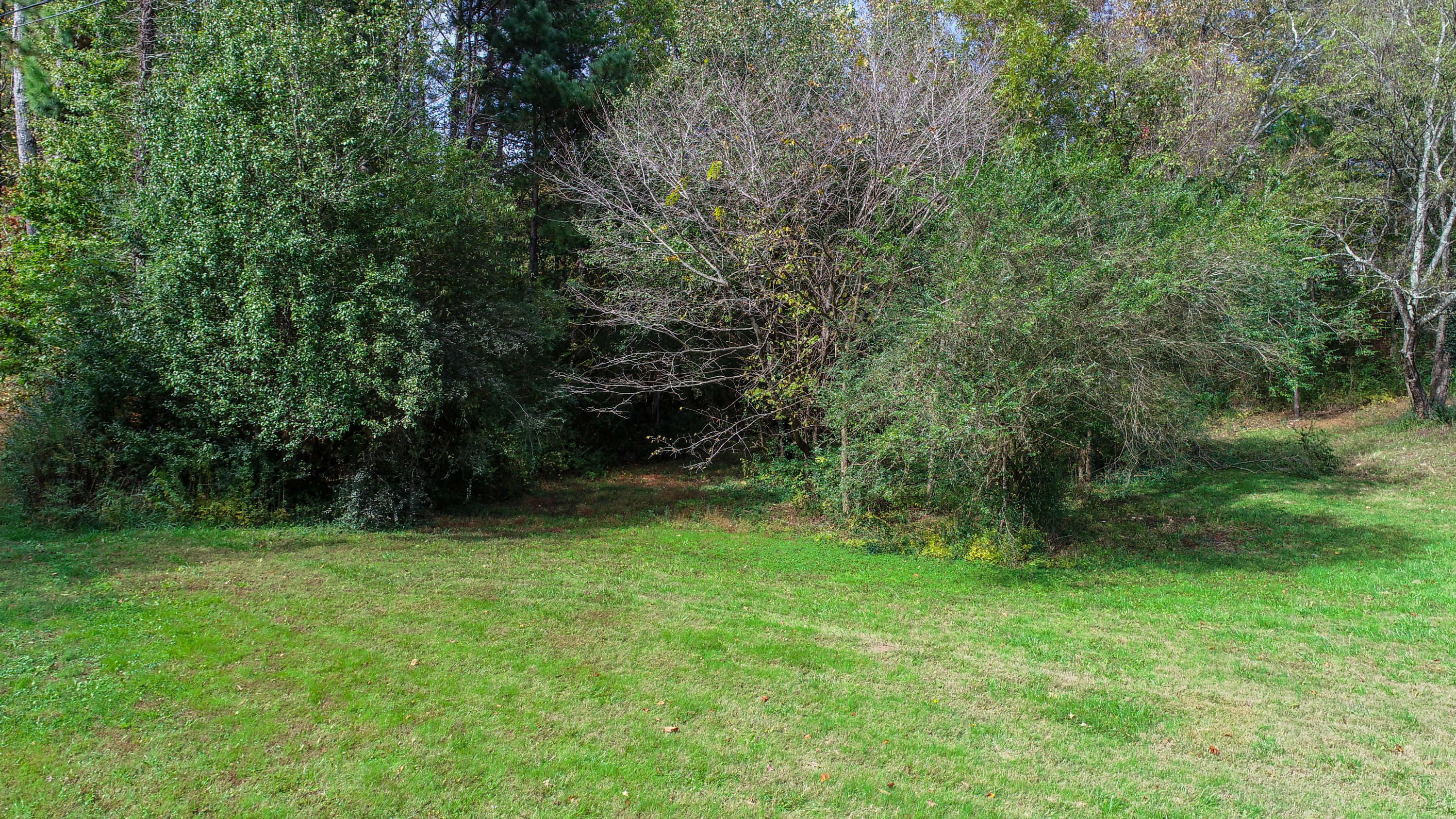 180 Alexander Road Ringgold, GA 30736 - Photo 3 of 14 DJI_0026-2