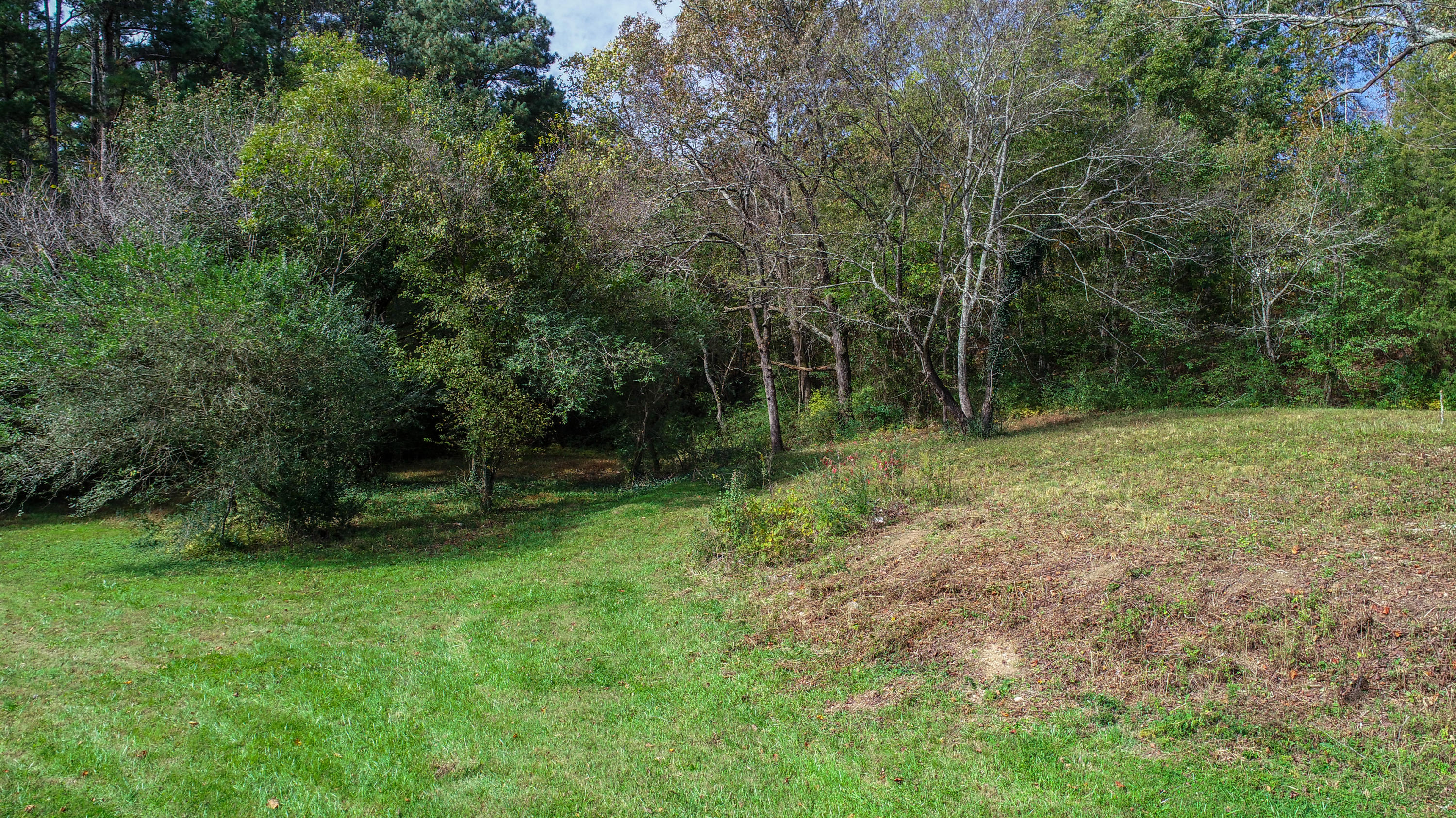 180 Alexander Road Ringgold, GA 30736 - Photo 4 of 14 DJI_0027-2