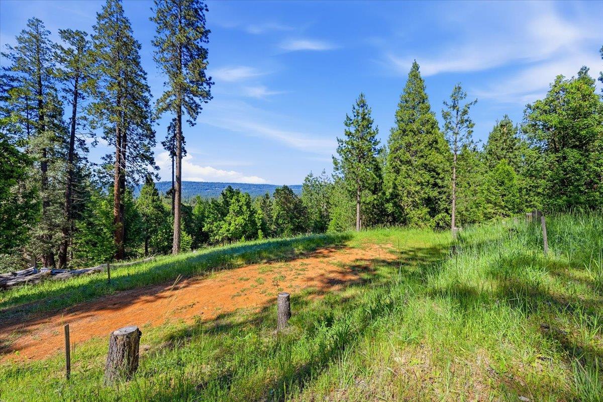 11021 Pittsburg Mine Road Nevada City, CA 95959 - Photo 2 of 36