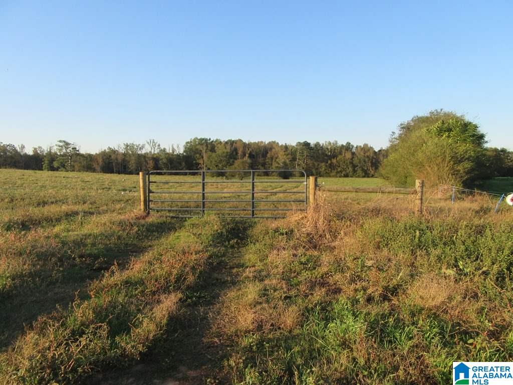 0 Eastaboga Road, Unit 1 Talladega, AL 35160 - Photo 10 of 30