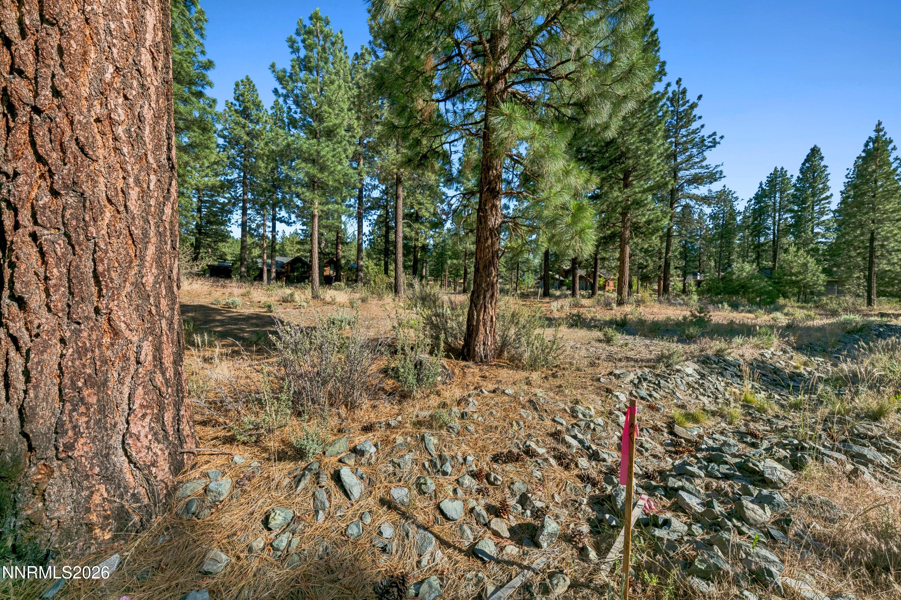 238 Redding Way Carson City, NV 89705 - Photo 7 of 24 a22