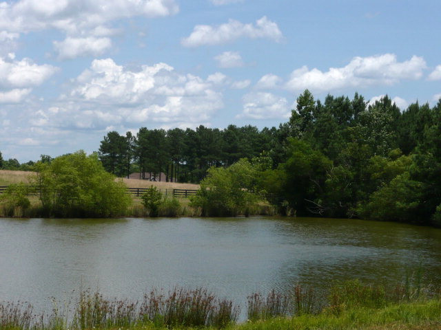 624 Duncan Road Johnston, SC 29832 - Photo 17 of 17