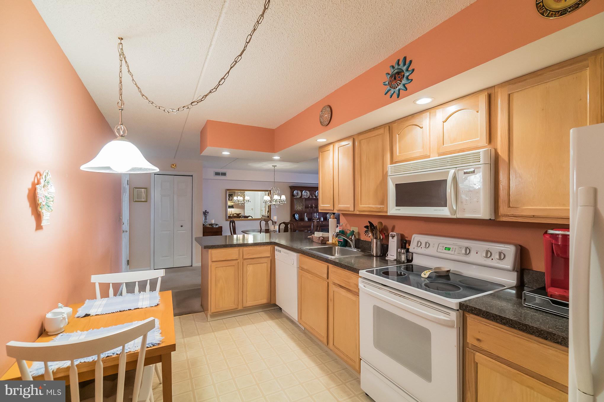 411 Brandon Road Norristown, PA 19403 - Photo 4 of 20 Gallery Image 4