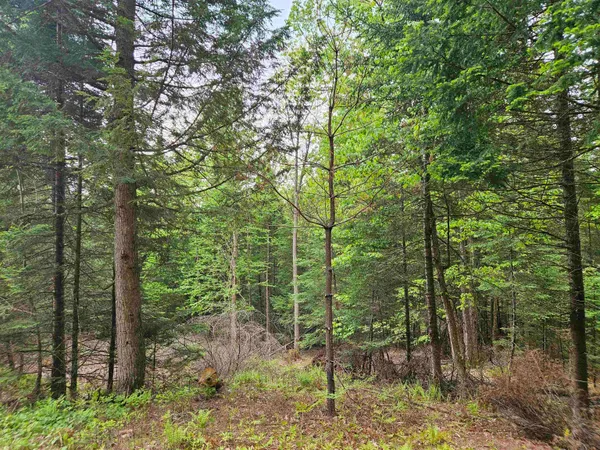 $49,000 | 35 Langway Road, Lyman, NH 03585