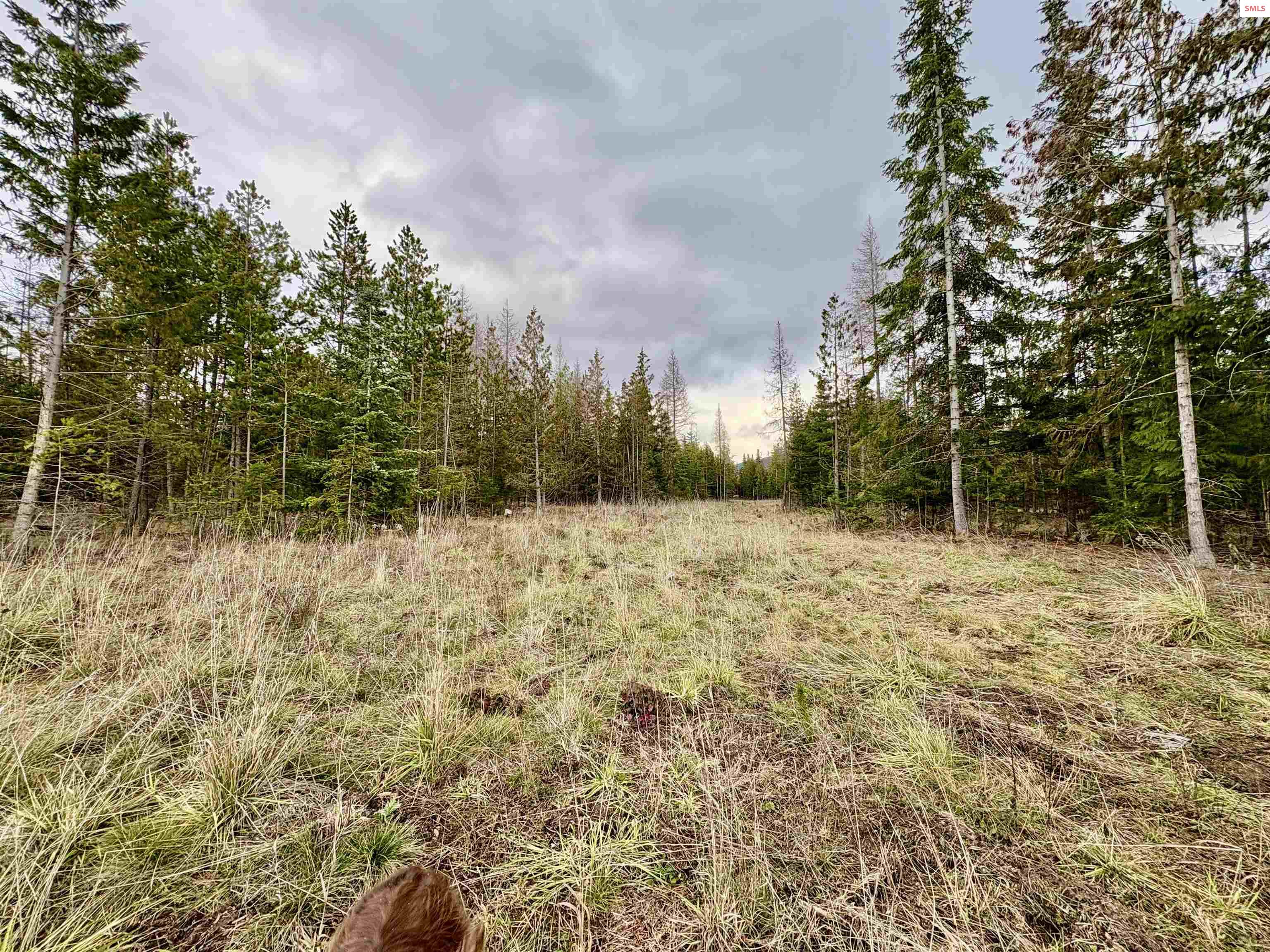 1-2 3 Lost Mile Road Naples, ID 83847 - Photo 22 of 25