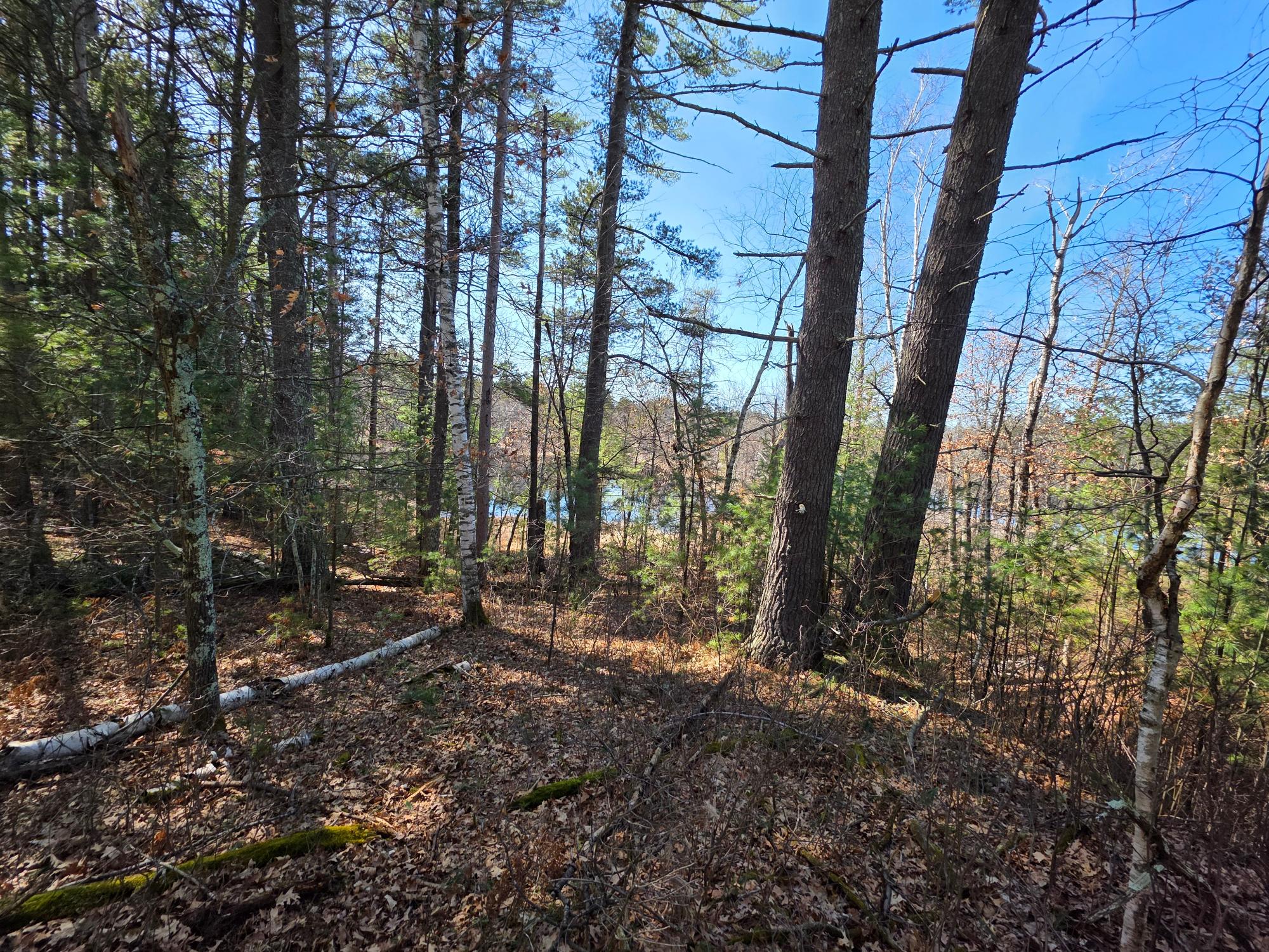 10023 Point O Pines Road Tomahawk, WI 54487 - Photo 15 of 25 Gallery Image 15