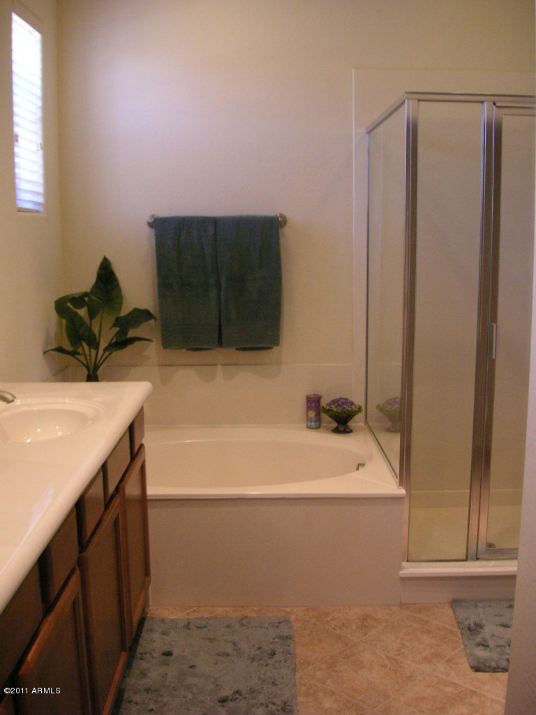 3935 East Rough Rider Road, Unit 1093 Phoenix, AZ 85050 - Photo 16 of 20 master tub & shower
