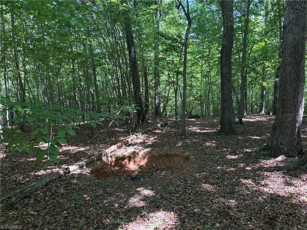 0 Witty Road Summerfield, NC 27358 - Photo 15 of 21