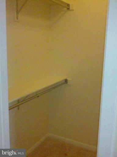 5505 Seminary Road, Unit 1617N Falls Church, VA 22041 - Photo 13 of 21 Walk-in Closet