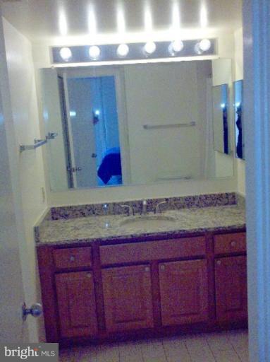 5505 Seminary Road, Unit 1617N Falls Church, VA 22041 - Photo 15 of 21 Master Bath #2