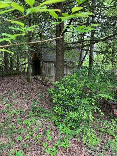 0 Groves Road Pikeville, TN 37367 - Photo 4 of 13 Shed