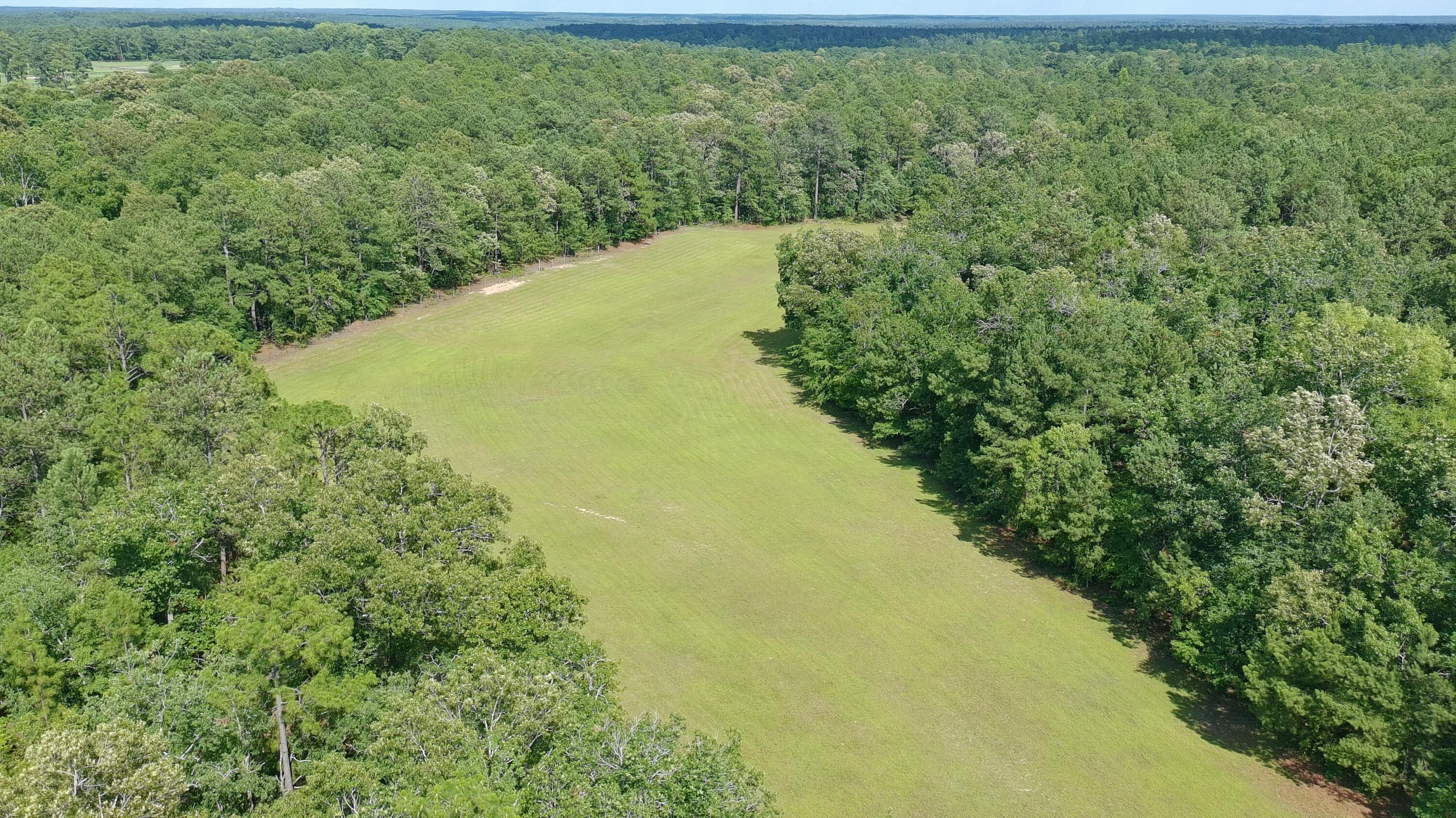 41-acres Whiskey Road Aiken, SC 29803 - Photo 28 of 44