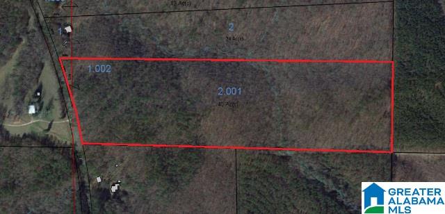 40-acres Oaks Chapel Road, Unit 40 ACRES Goodwater, AL 35072 - Photo 8 of 8