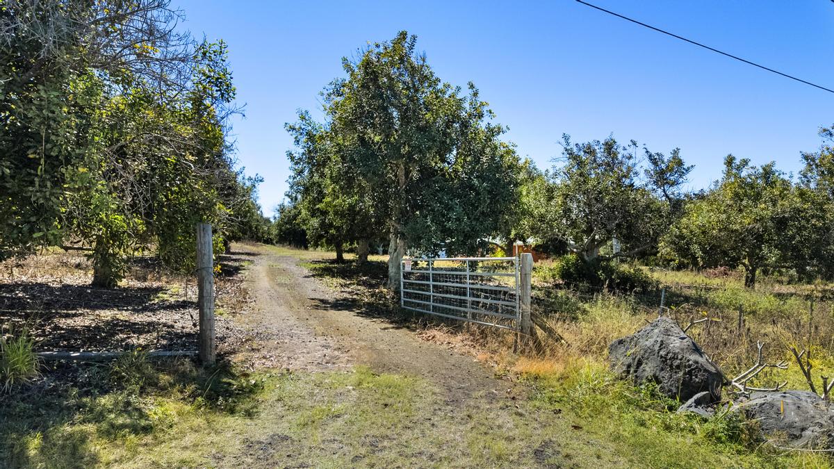 89-995 Hawaii Belt Road Captain Cook, HI 96704 - Photo 26 of 27