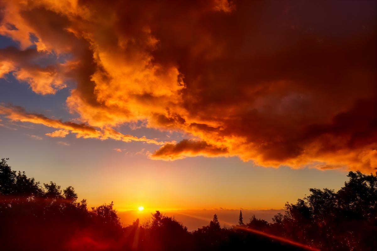 89-995 Hawaii Belt Road Captain Cook, HI 96704 - Photo 27 of 27