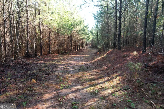 a view of outdoor space with trees