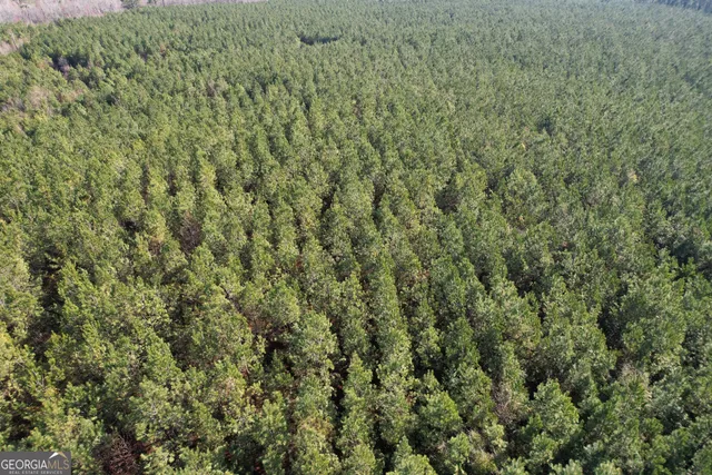 a view of a yard with a forest
