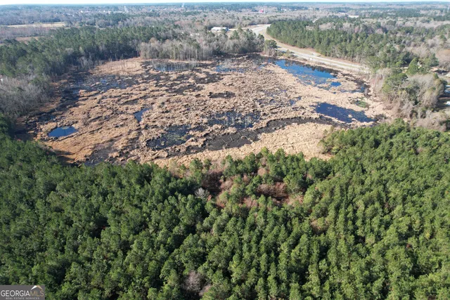 a view of a lush green forest with lots of trees