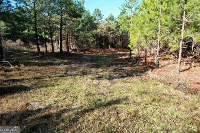 a view of yard with green space