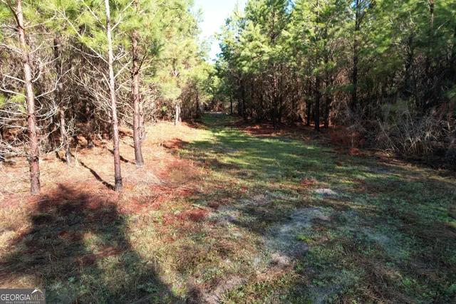 a view of outdoor space with trees