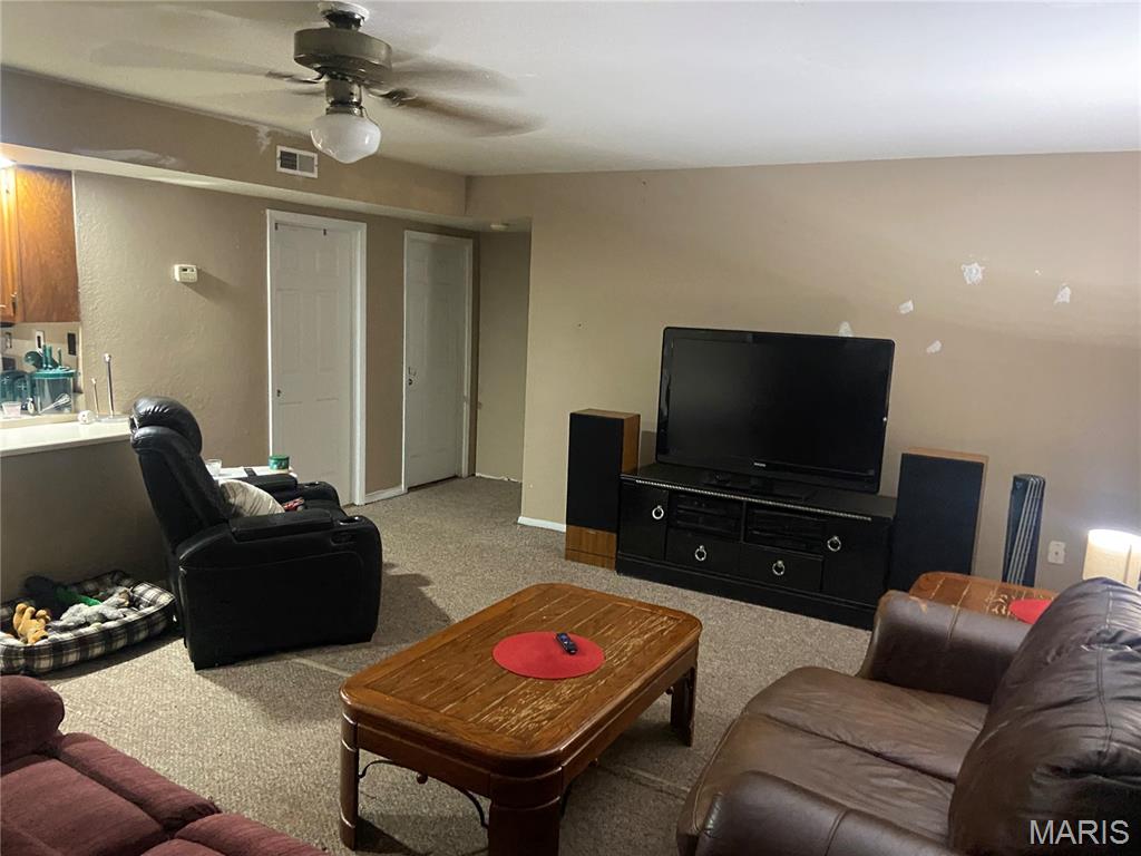 202 Home Street, Unit 208 Arcadia, MO 63621 - Photo 18 of 25