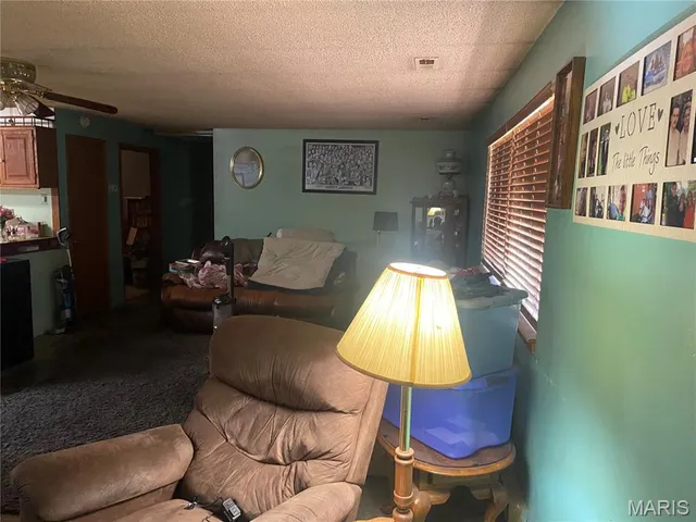 $375,000 | 202 Home Street, Unit 208, Arcadia, MO 63621