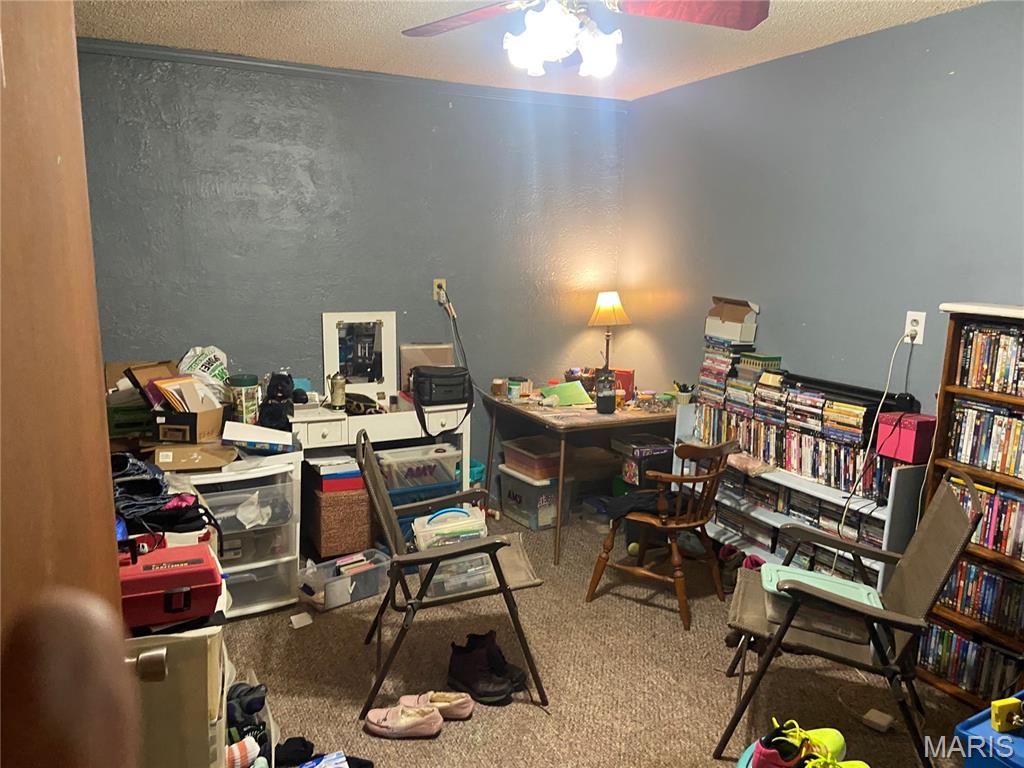 202 Home Street, Unit 208 Arcadia, MO 63621 - Photo 9 of 25