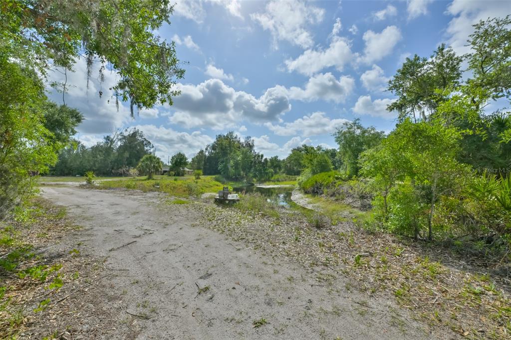 14451 Highland Road Wimauma, FL 33598 - Photo 46 of 80 a view of a field with plants and trees