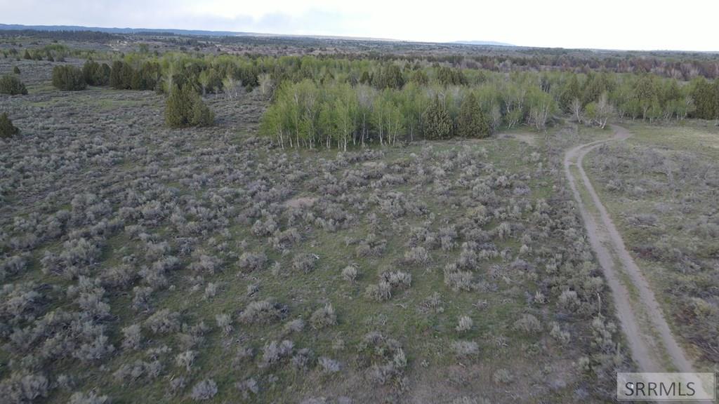 Tbd 40-ac Tbd 40-ac Arcadia Road Ashton, ID 83420 - Photo 13 of 43