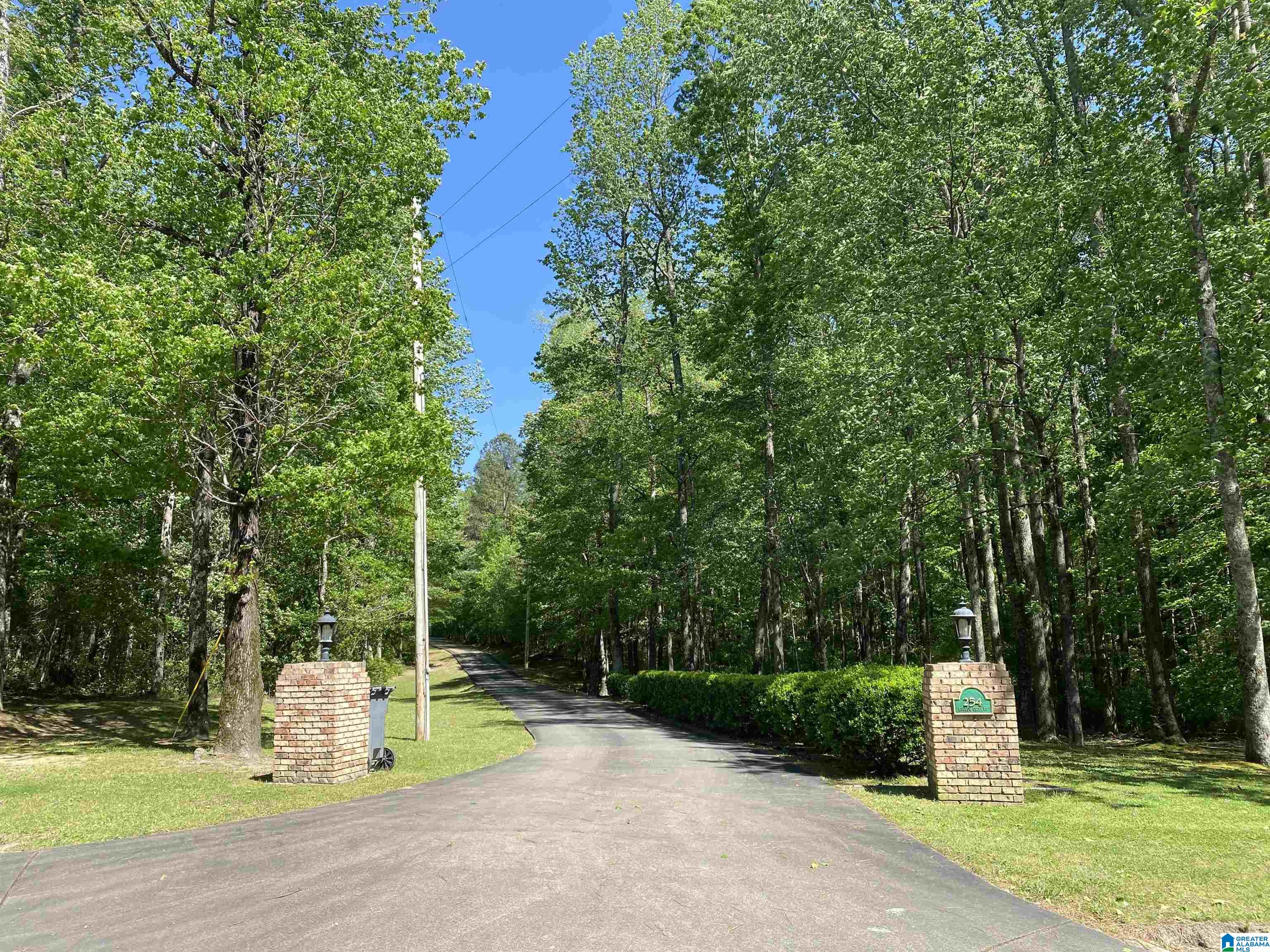 254 Bunkum Creek Road Nauvoo, AL 35578 - Photo 41 of 44