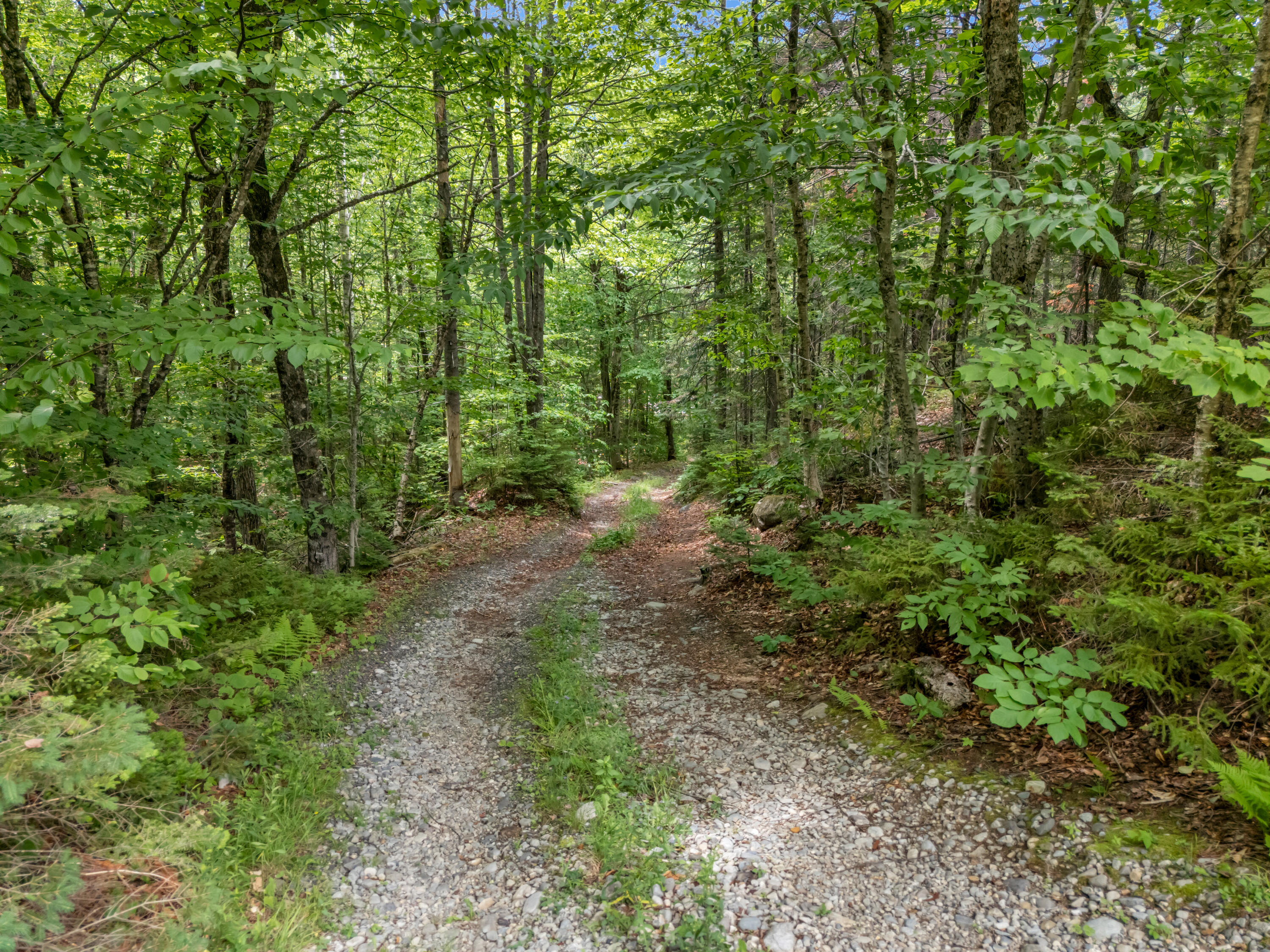 2901 Long Falls Dam Road New Portland, ME 04961 - Photo 55 of 55 DJI_20260703125028_0201_D
