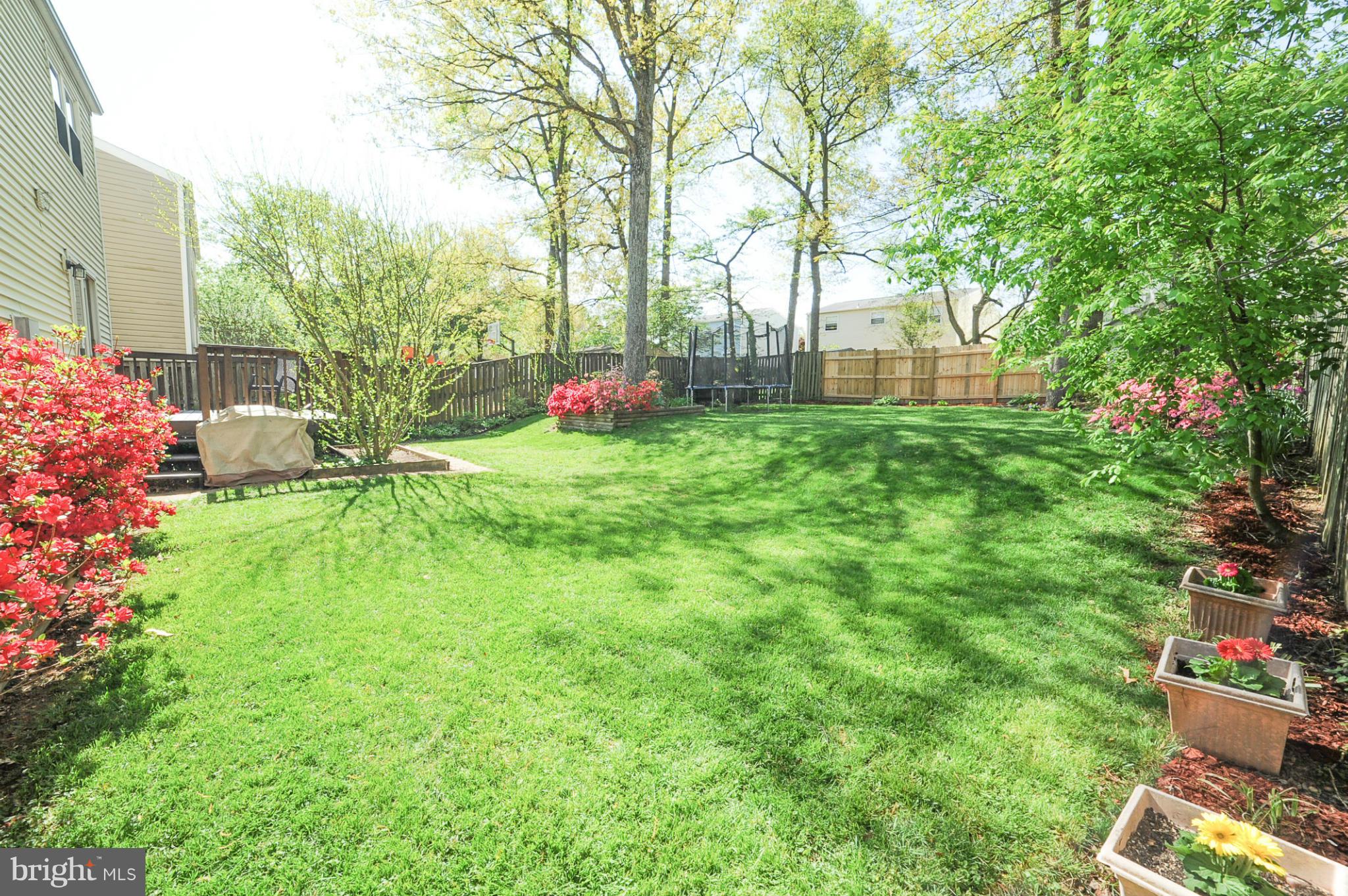 8285 Raindrop Way Springfield, VA 22153 - Photo 22 of 23 Large Fenced in Yard