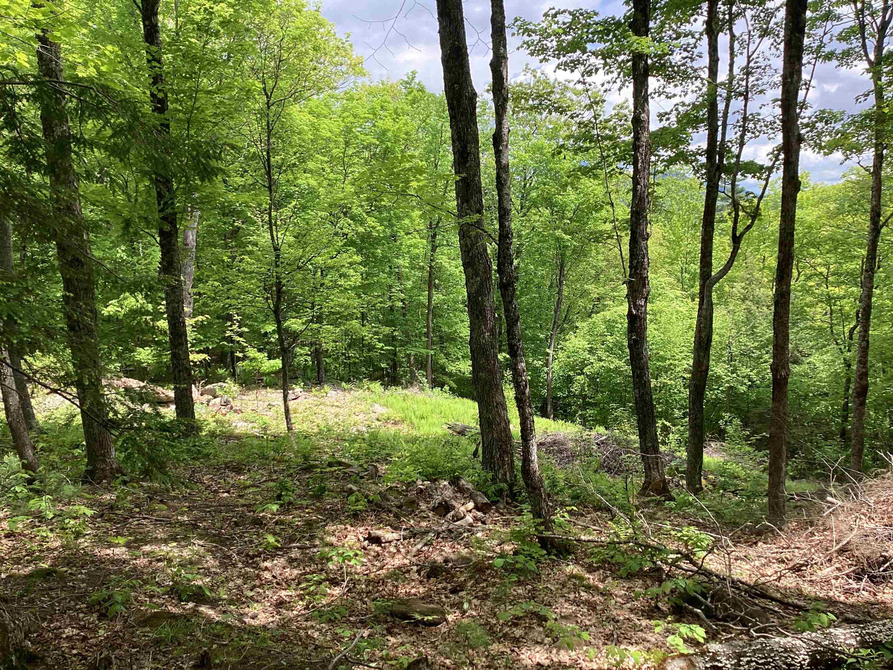 Lot 1 Pegwood Road Campton, NH 03223 - Photo 3 of 9