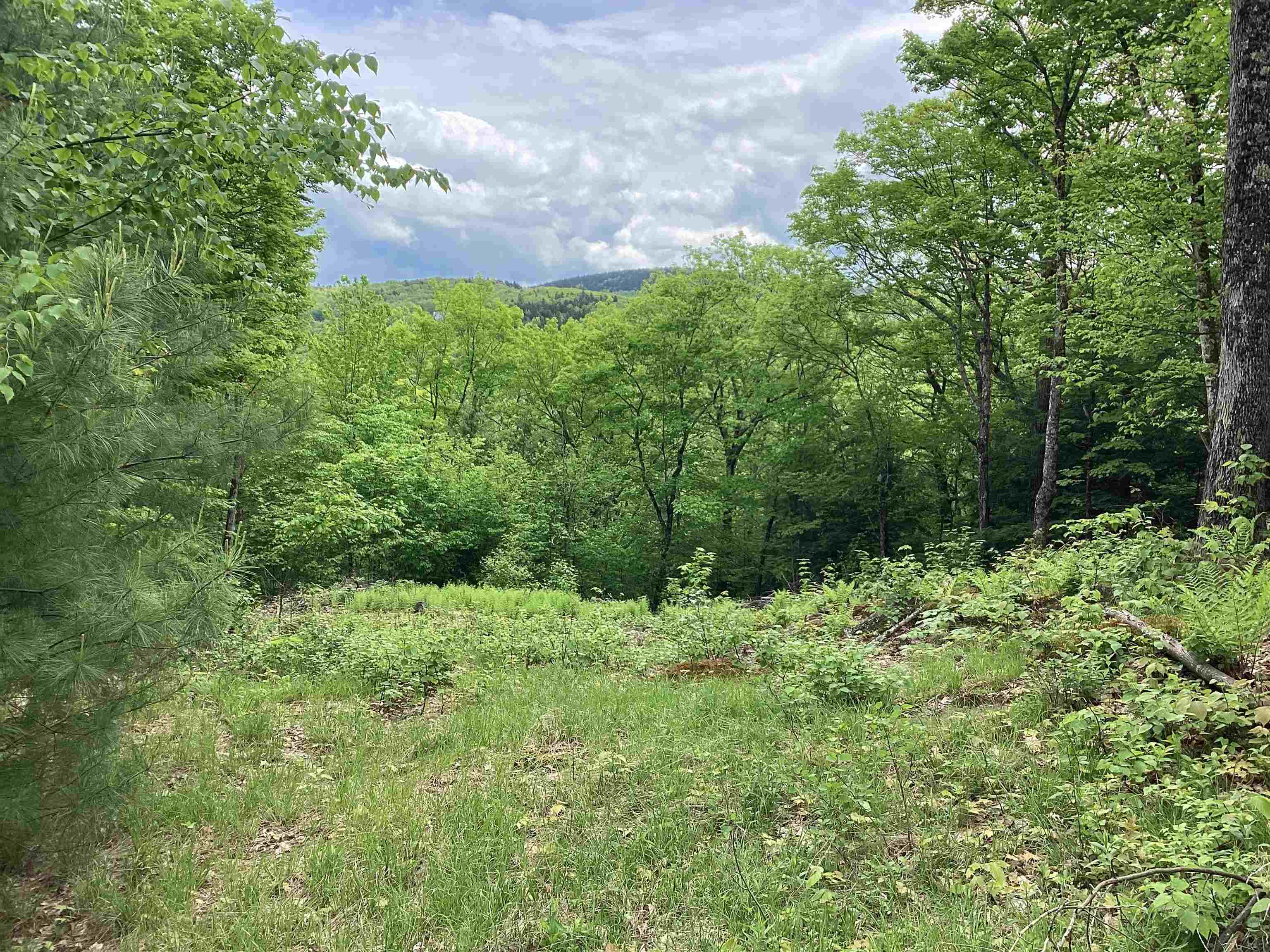 Lot 1 Pegwood Road Campton, NH 03223 - Photo 4 of 9