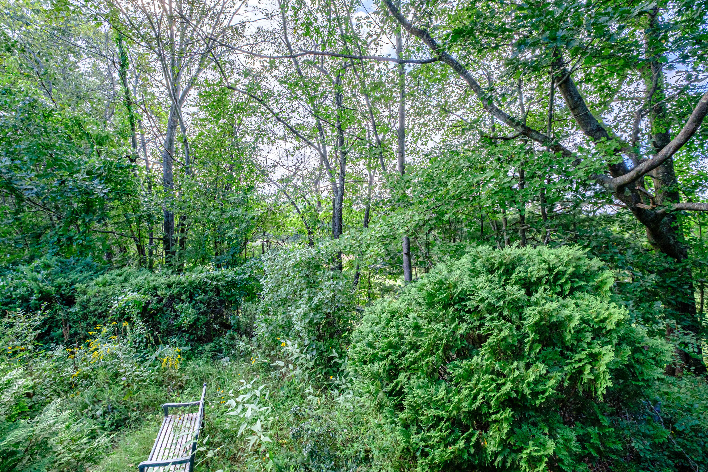 644 Oak Hill Road Steep Falls, ME 04085 - Photo 38 of 95 20230919gp-63038
