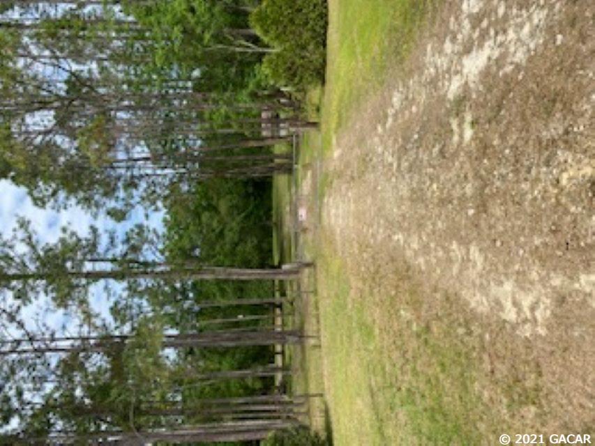 9963 Southwest 38th Way Lake Butler, FL 32054 - Photo 1 of 6 Gallery Image 1